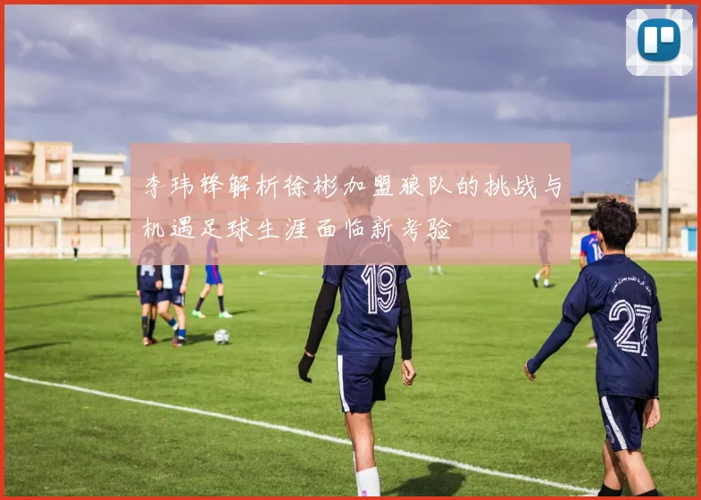 李玮锋解析徐彬加盟狼队的挑战与机遇足球生涯面临新考验