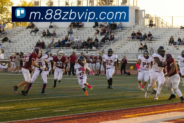企业概况